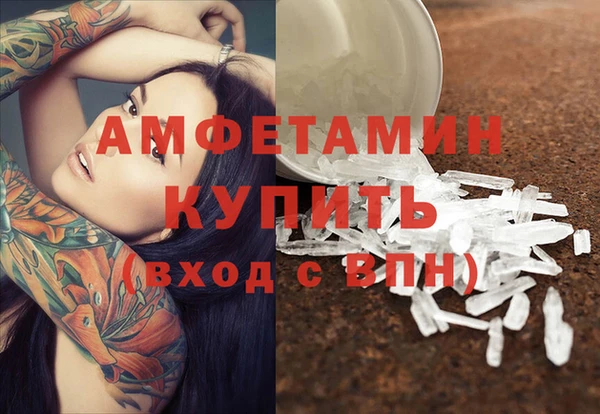 сатива Балахна